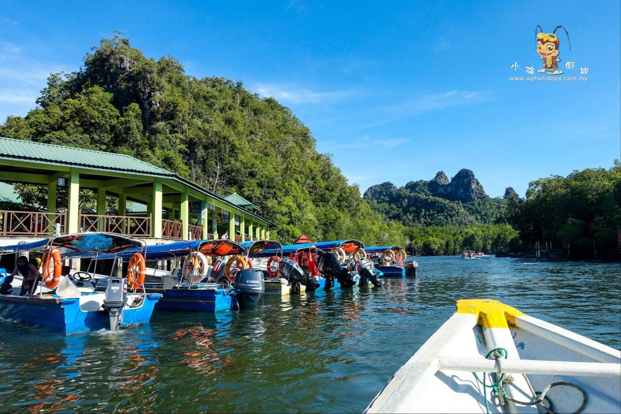 Jelajahi Ekosistem Mangrove yang Eksotis di Langkawi